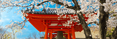 A 2025 Guide to Spring Vacation in Japan | Club Wyndham Asia