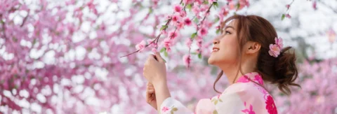 Hokkaido Cherry Blossoms Guide | Club Wyndham Asia